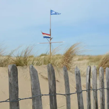 Stylish Holiday In South Holland By The Forest